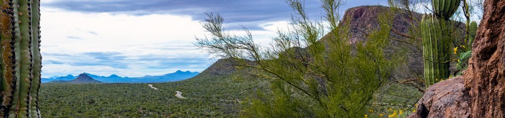 Looking west from Contzen Pass in Saguaro National Park West. Sonoran Desert mountains and plains covered in cactus and rocky hills. West of Tucson, Arizona.