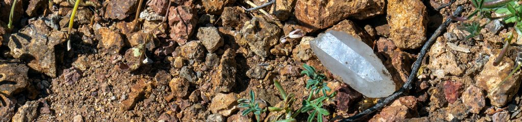 A raw quartz crystal found on the ground in the Sonoran Desert and photographed as located. Near Saguaro National Park in Pima County, Tucson, Arizona.